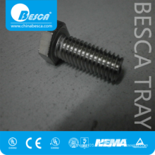 Grade 4.8 Stainless Steel Hex Bolt And Nut